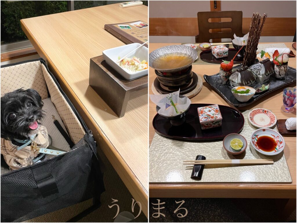 レジーナリゾート伊豆無鄰 レジーナリゾート 旅館 ペット同伴可 夕飯 夜ご飯 夜ごはん