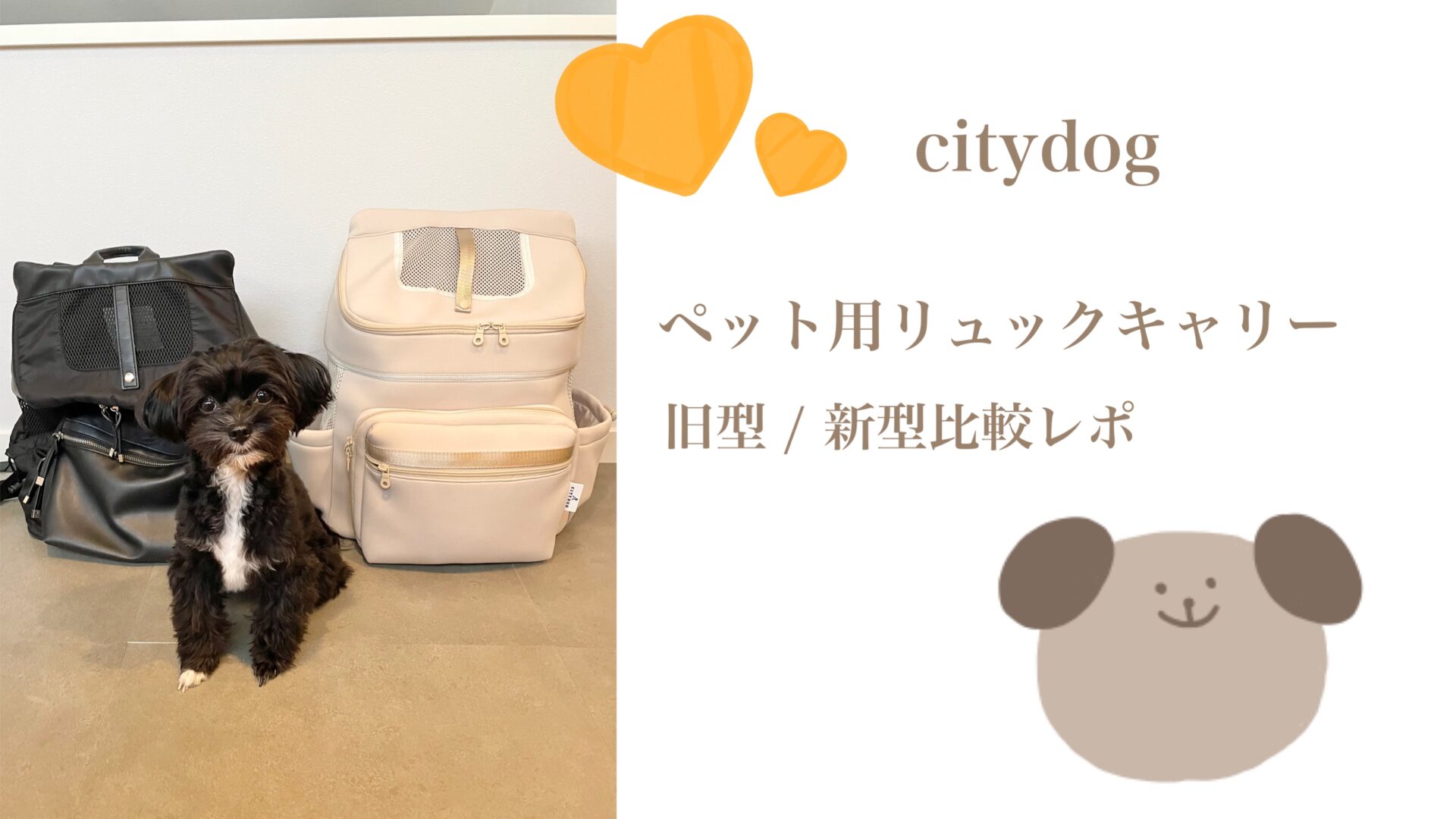 新旧比較！ペット用リュックキャリー / citydog - うりまるブログ