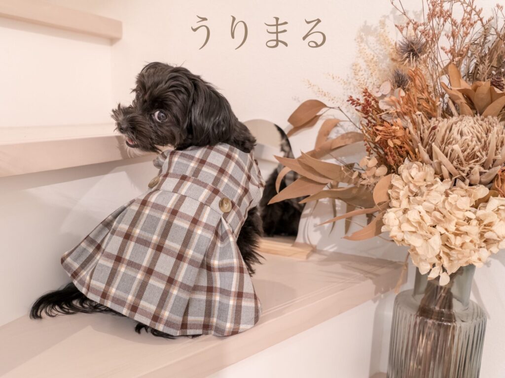 toutoucoco トゥトゥココ 犬服 ドッグウェア ドッグウエア ワンピース ペアルック