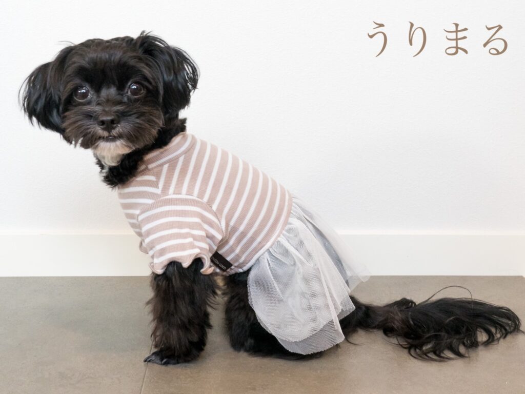 toutoucoco トゥトゥココ 犬服 ドッグウェア ドッグウエア ワンピース ペアルック