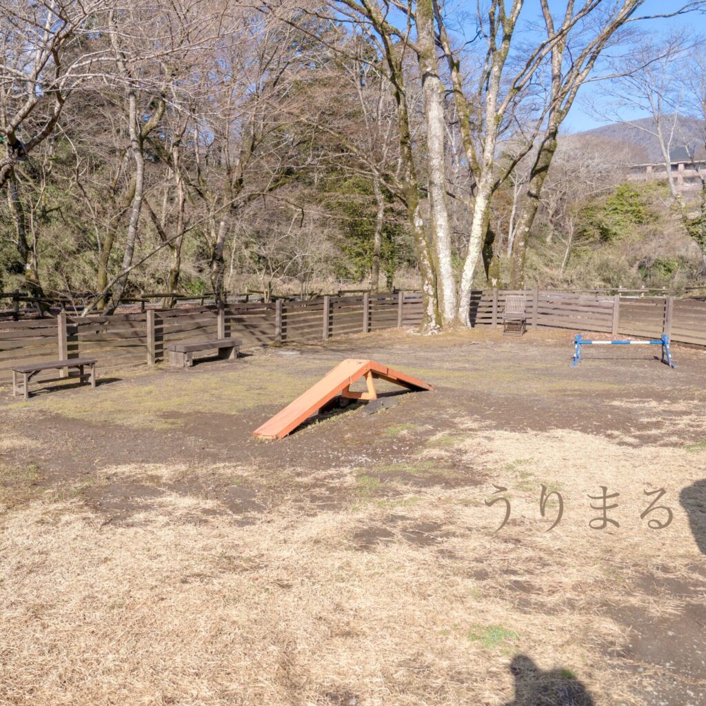 箱根 箱根旅行 ペット可 ペット同伴可 わんこと旅行 犬と旅行 箱根ハイランドホテル