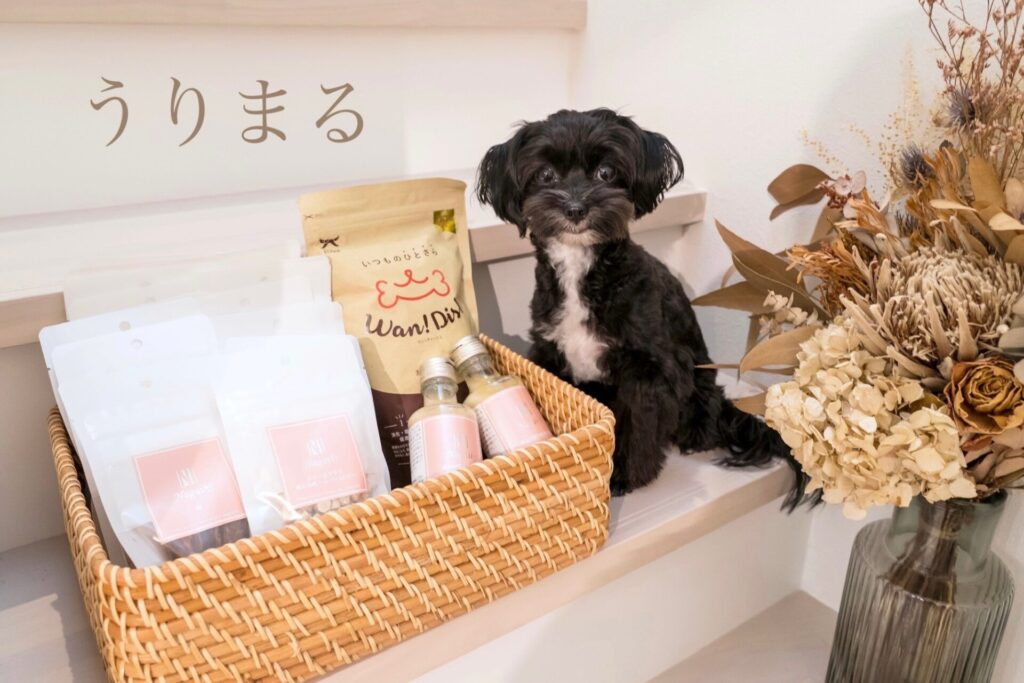 国産 無添加 犬 おやつ トリーツ ドッグフード オーシーファーム ocfarm