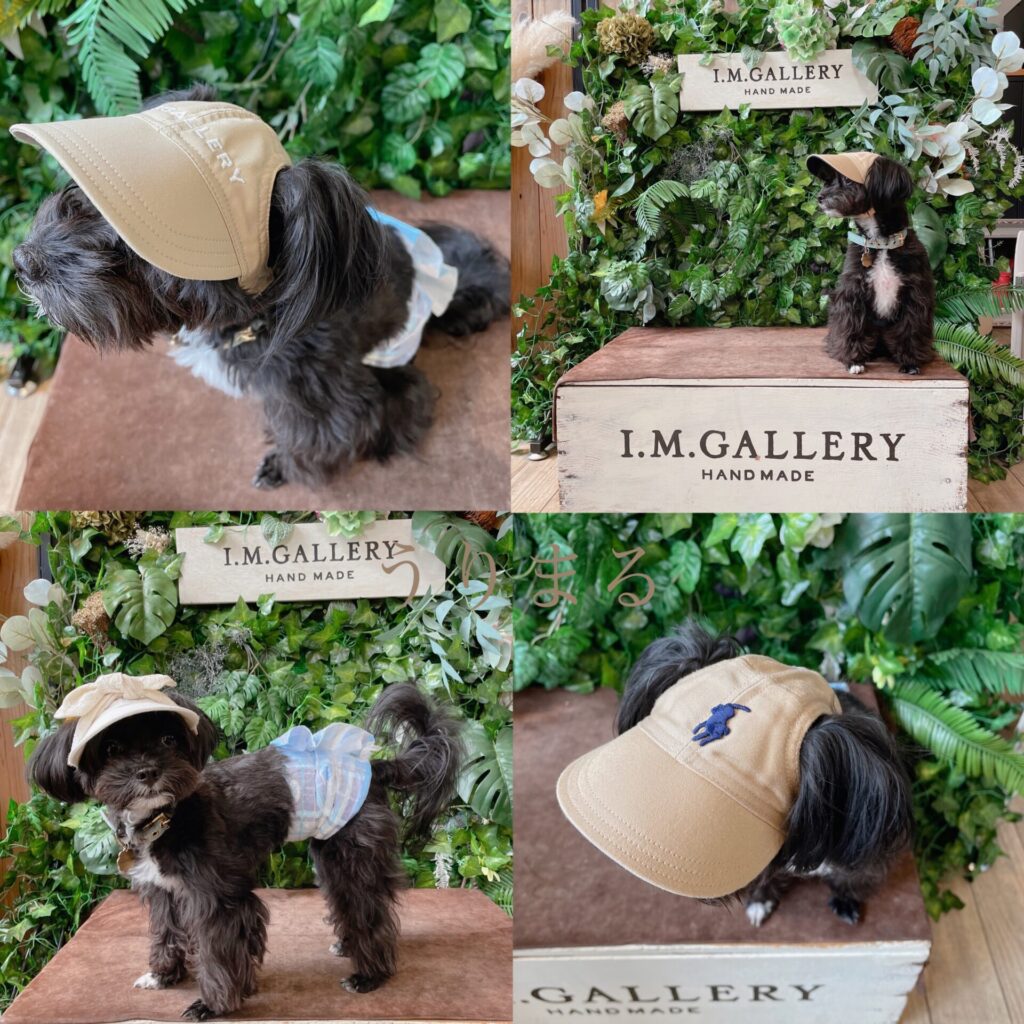 犬 帽子 専門店 I.M.GALLERY サングラス 熱中症対策 紫外線対策 犬服 ドッグウェア