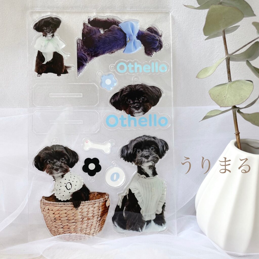 愛犬 推し活 推し事 うちの子グッズ アクリルスタンド アクリルキーホルダー アクスタ アクキー acry