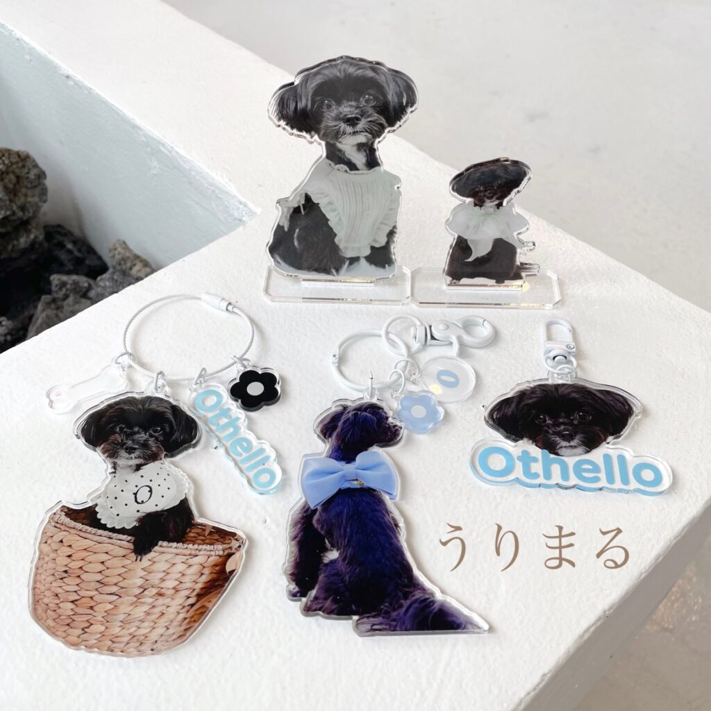 愛犬 推し活 推し事 うちの子グッズ アクリルスタンド アクリルキーホルダー アクスタ アクキー acry