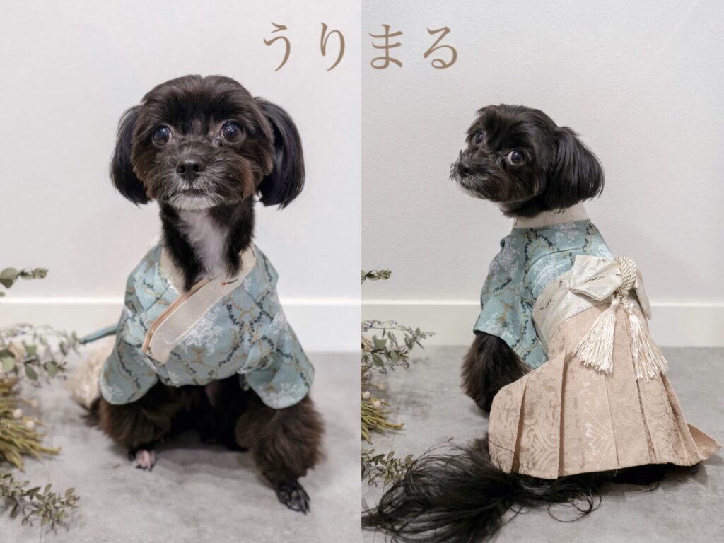 ペット 和服 浴衣 袴 和装 犬服 ドッグウェア おねこさま おいぬさま　ONEKOSAMA OINUSAMA