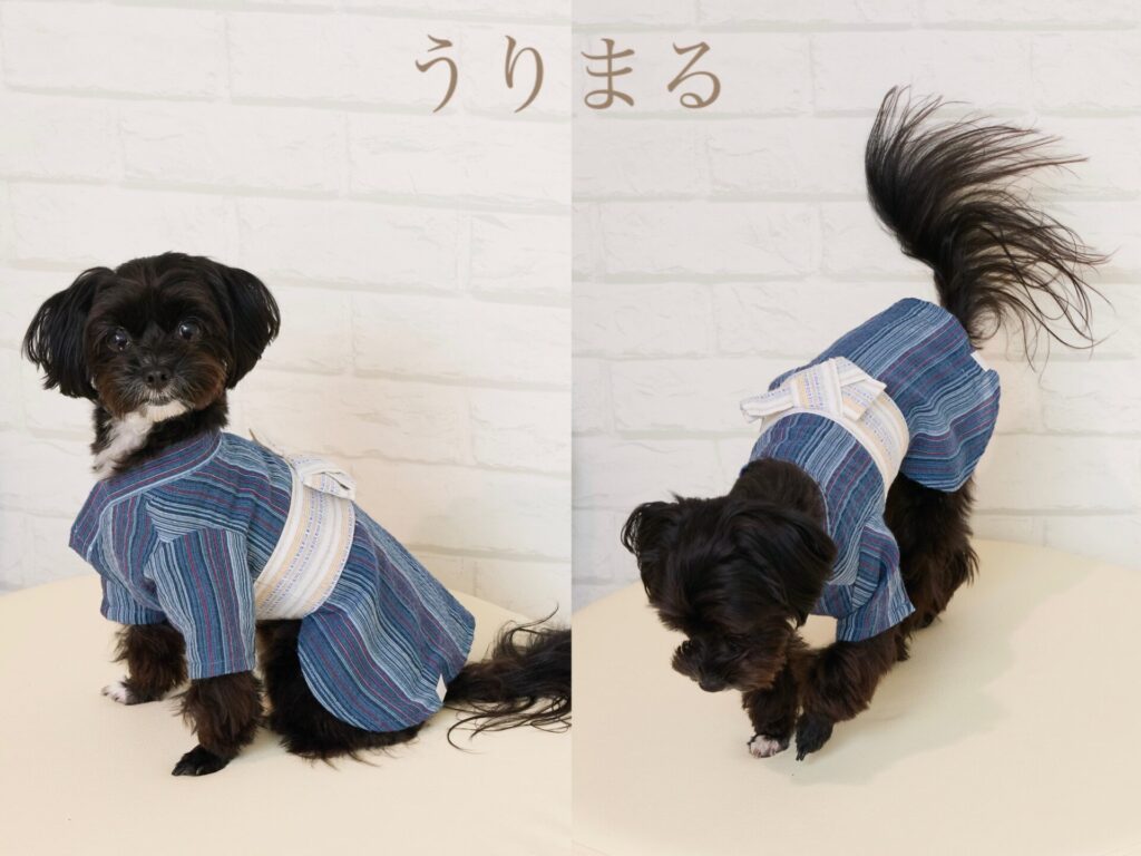ペット 和服 浴衣 袴 和装 犬服 ドッグウェア おねこさま おいぬさま　ONEKOSAMA OINUSAMA