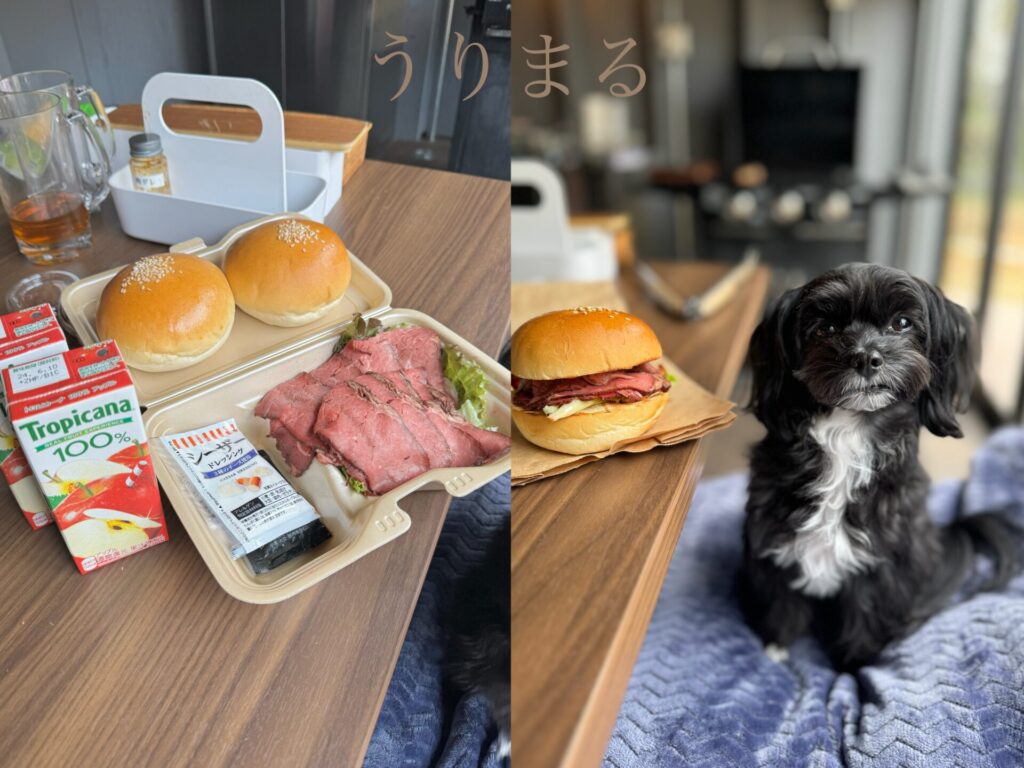 グランピング 千葉県 上総湊 グランドーム千葉富津 富津市 ドーム 犬と旅行 わんこと旅行 ドッグラン 芝生 焚き火 露天風呂