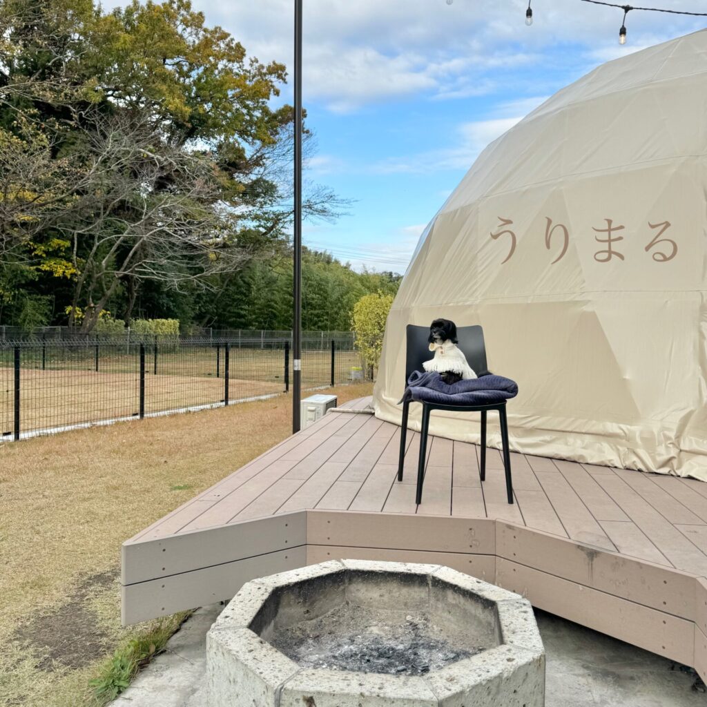 グランピング 千葉県 上総湊 グランドーム千葉富津 富津市 ドーム 犬と旅行 わんこと旅行 ドッグラン 芝生 焚き火 露天風呂