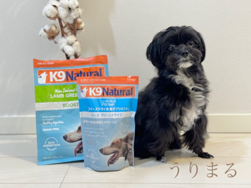 K9 natural ケーナイン ナチュラル ラム ビーフ グリーントライプ 整腸剤 サプリメント ドッグフード