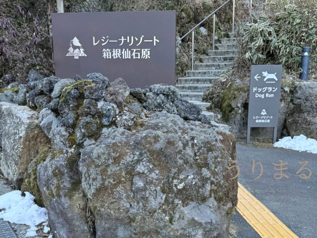 レジーナリゾート 箱根 仙石原 犬 旅行 ペット ホカンス 露天風呂