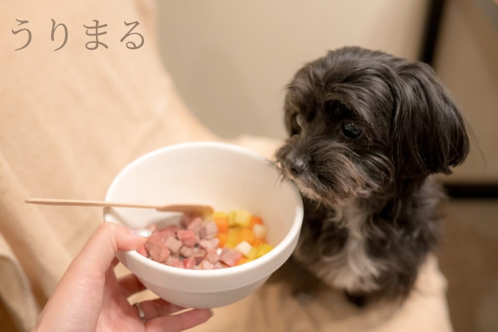 レジーナリゾート 箱根 仙石原 犬 旅行 ペット ホカンス 露天風呂