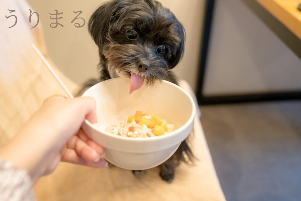 レジーナリゾート 箱根 仙石原 犬 旅行 ペット ホカンス 露天風呂