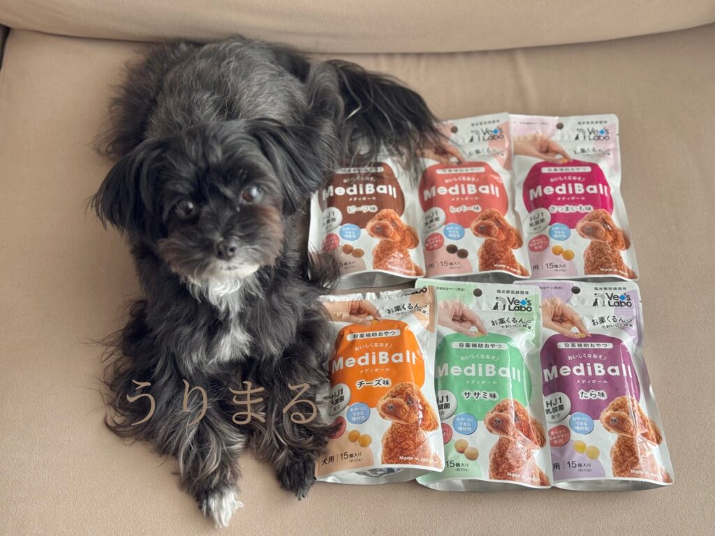 投薬補助 薬 サプリ 錠剤 粉 粉末 メディボール MediBall おやつ トリーツ 犬 ペット