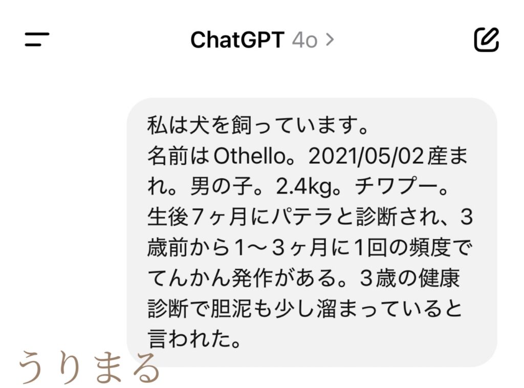ChatGPT 手作りごはん ご飯 ドッグフード 犬 薬膳 食療生 療法食 食事療法 療養食