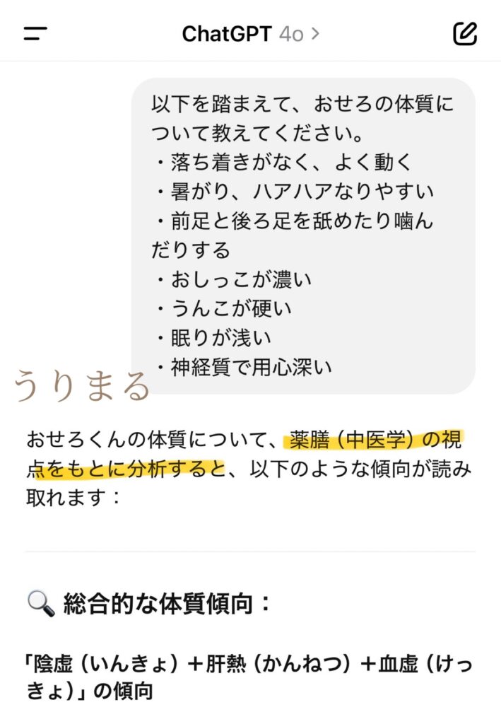 ChatGPT 手作りごはん ご飯 ドッグフード 犬 薬膳 食療生 療法食 食事療法 療養食
