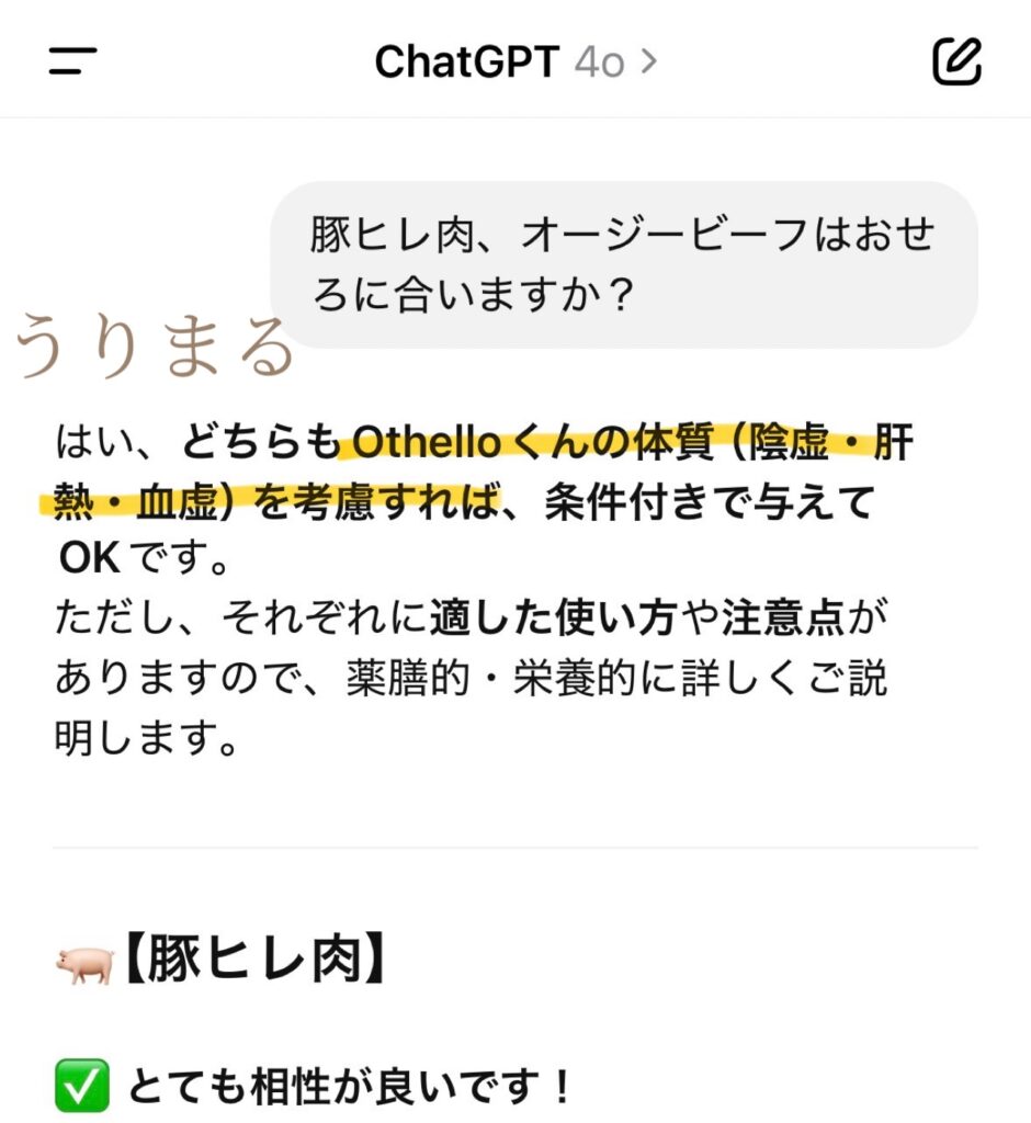 ChatGPT 手作りごはん ご飯 ドッグフード 犬 薬膳 食療生 療法食 食事療法 療養食