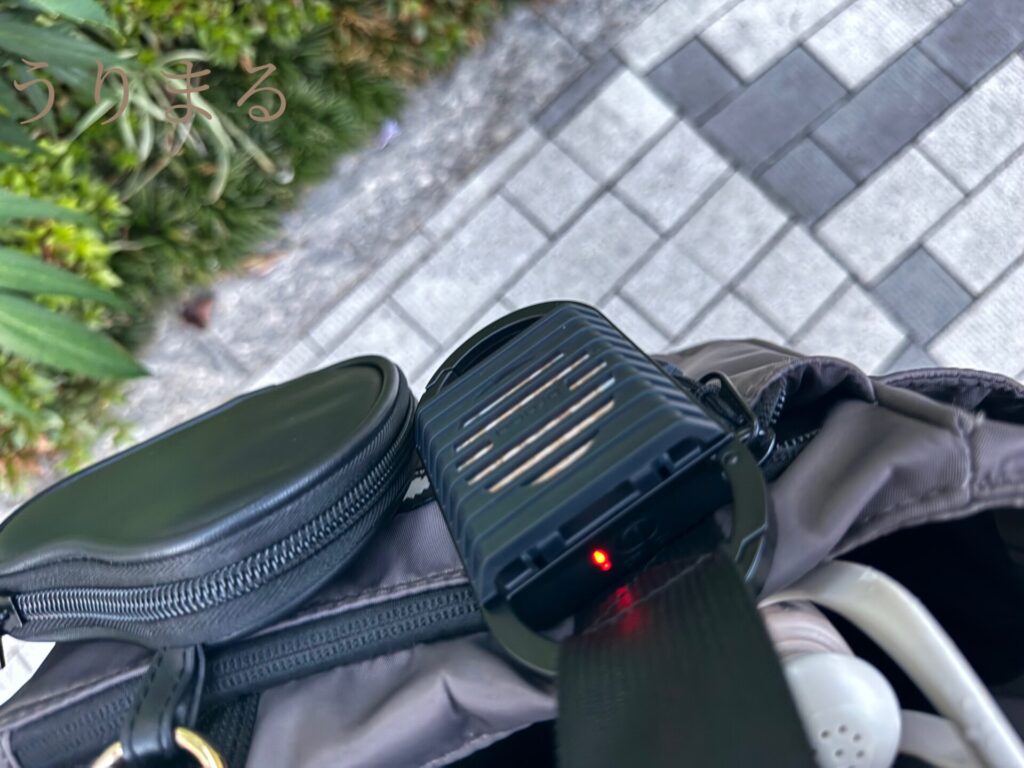 虫除け 蚊除け 蚊取り線香 キンチョー KINCYO アウトドア 散歩 お出かけ カノクス canox braaa