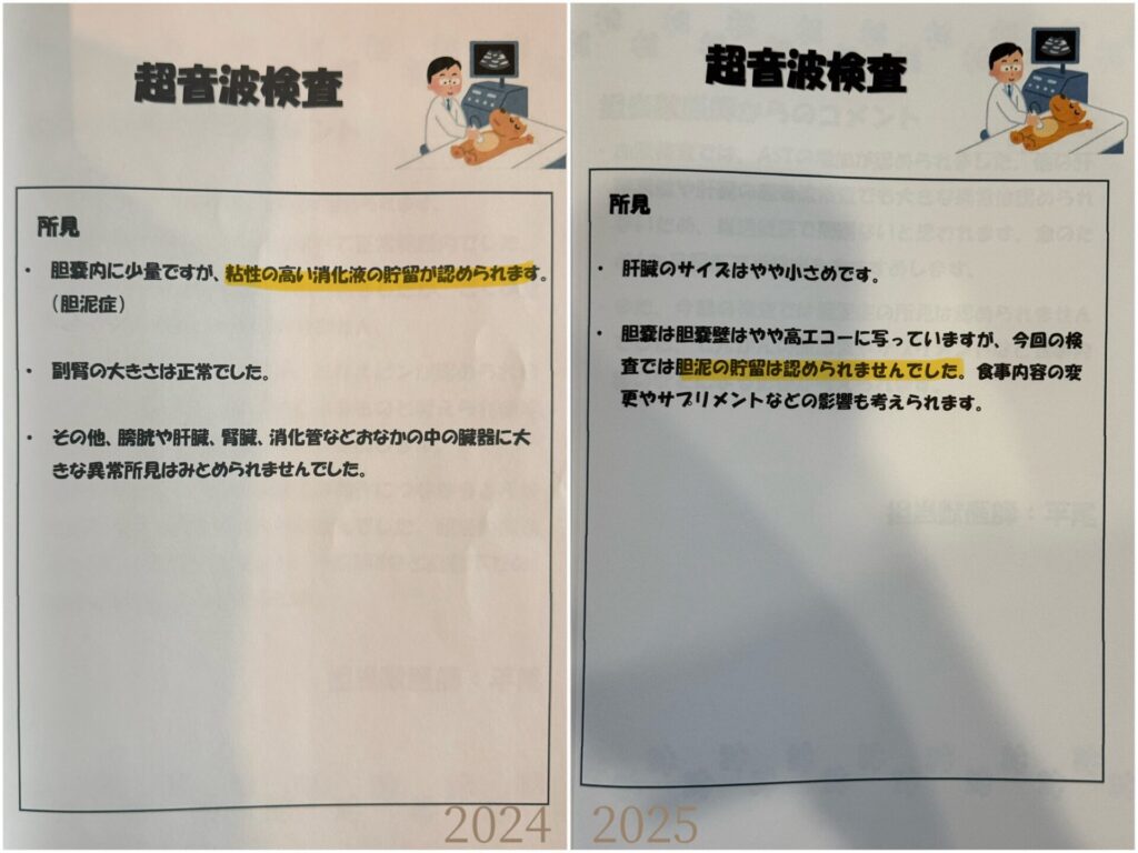 ChatGPT 手作りごはん ご飯 ドッグフード 犬 薬膳 食療生 療法食 食事療法 療養食 胆泥症 健康診断