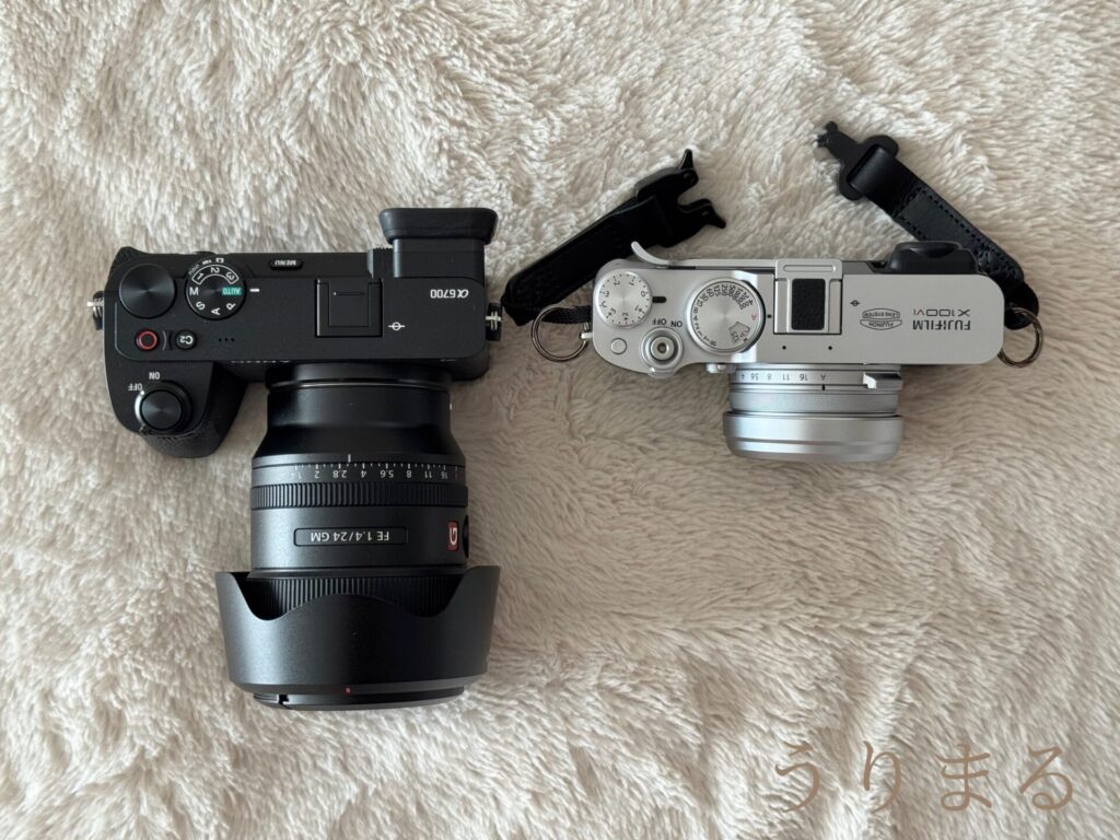 SONY α6700 SEL24F14GM FUJIFILM X100VI 比較 写真 愛犬