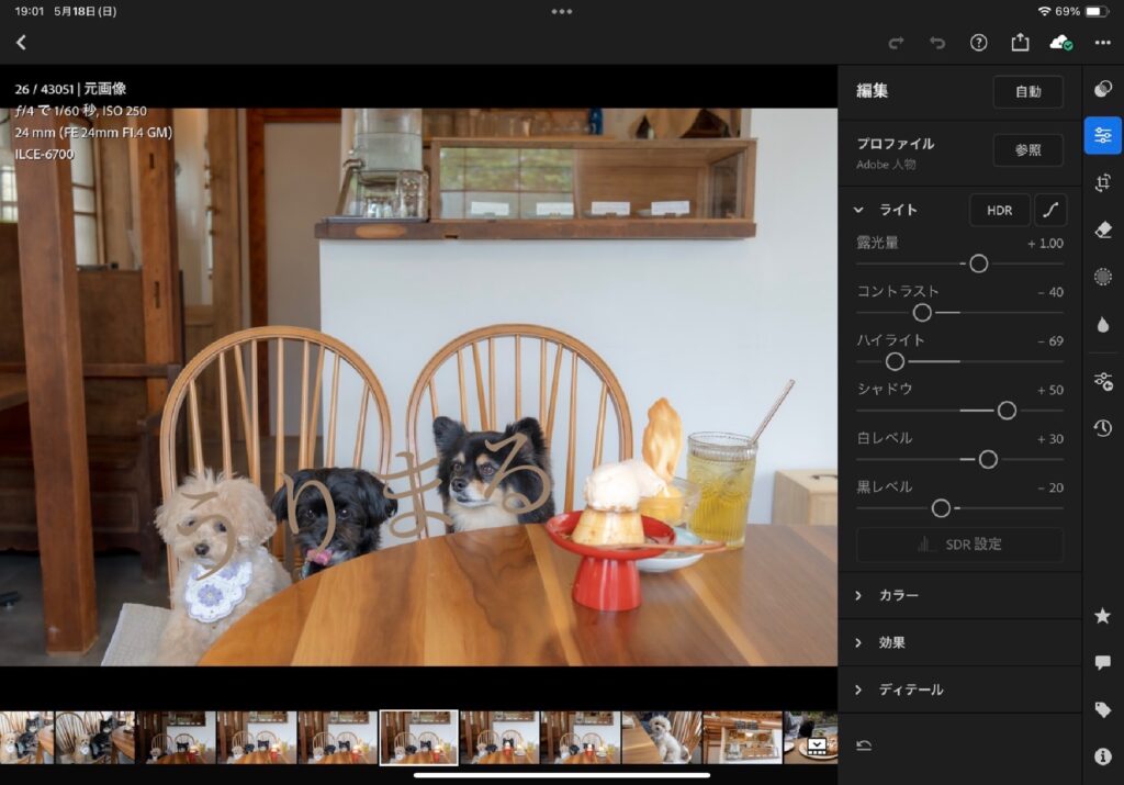 SONY α6700 SEL24F14GM FUJIFILM X100VI 比較 写真 愛犬