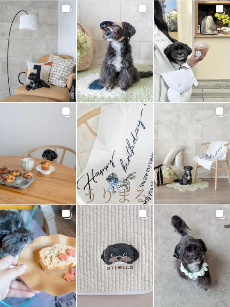 SONY α6700 SEL24F14GM FUJIFILM X100VI 比較 写真 愛犬