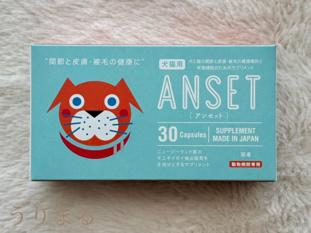 アンチノール アンセット モエギイガイ 緑イ貝 パテラ 関節 皮膚
