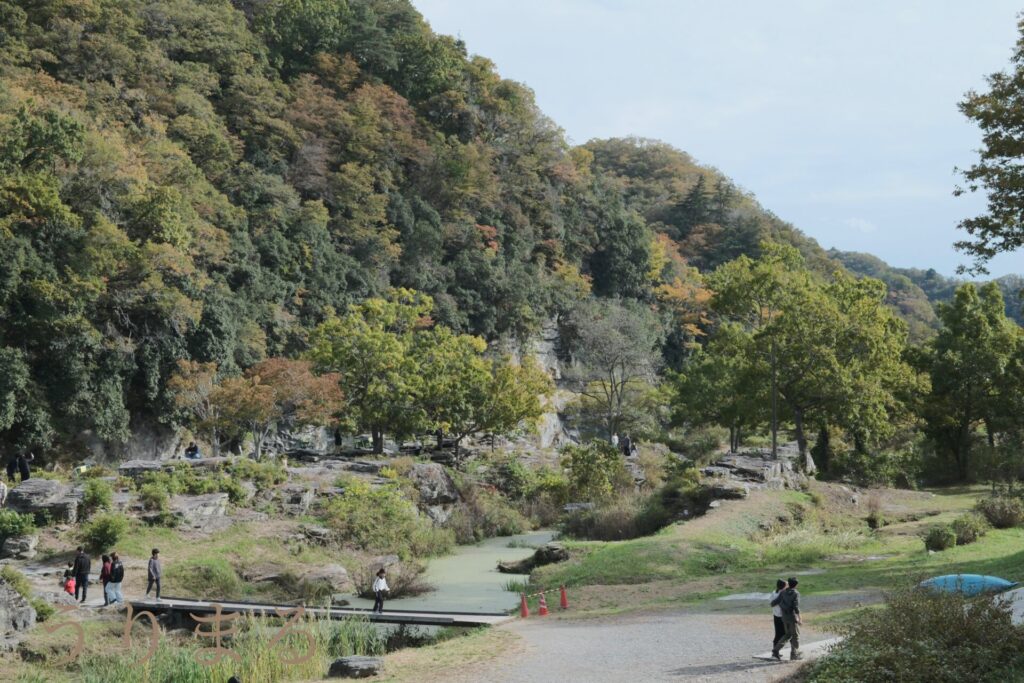 FUJIFILM X100VI SONY RX1R Ⅲ MR iii 比較 カメラ コンデジ コンパクト スナップ 小型