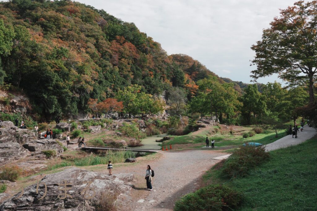 FUJIFILM X100VI SONY RX1R Ⅲ MR iii 比較 カメラ コンデジ コンパクト スナップ 小型