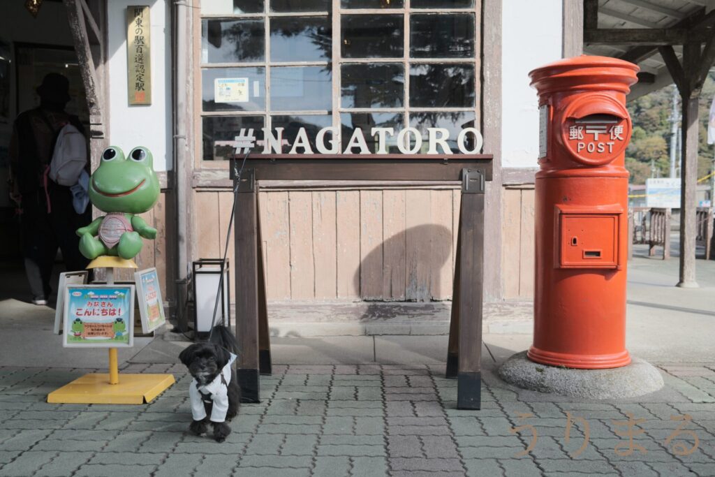 FUJIFILM X100VI SONY RX1R Ⅲ MR iii 比較 カメラ コンデジ コンパクト スナップ 小型