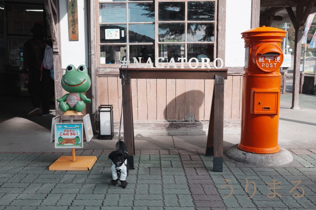 FUJIFILM X100VI SONY RX1R Ⅲ MR iii 比較 カメラ コンデジ コンパクト スナップ 小型