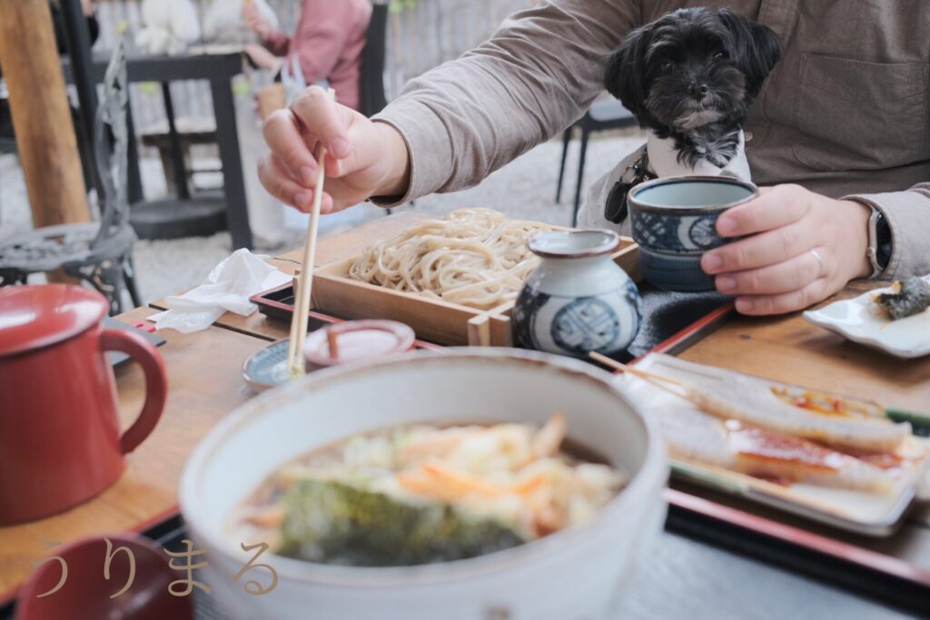 秩父 長瀞 石畳 犬連れ 犬同伴 ペット可 観光地 埼玉 自然 渓谷