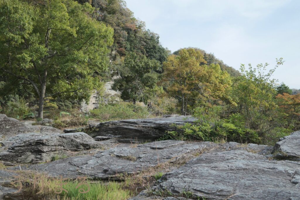 秩父 長瀞 石畳 犬連れ 犬同伴 ペット可 観光地 埼玉 自然 渓谷