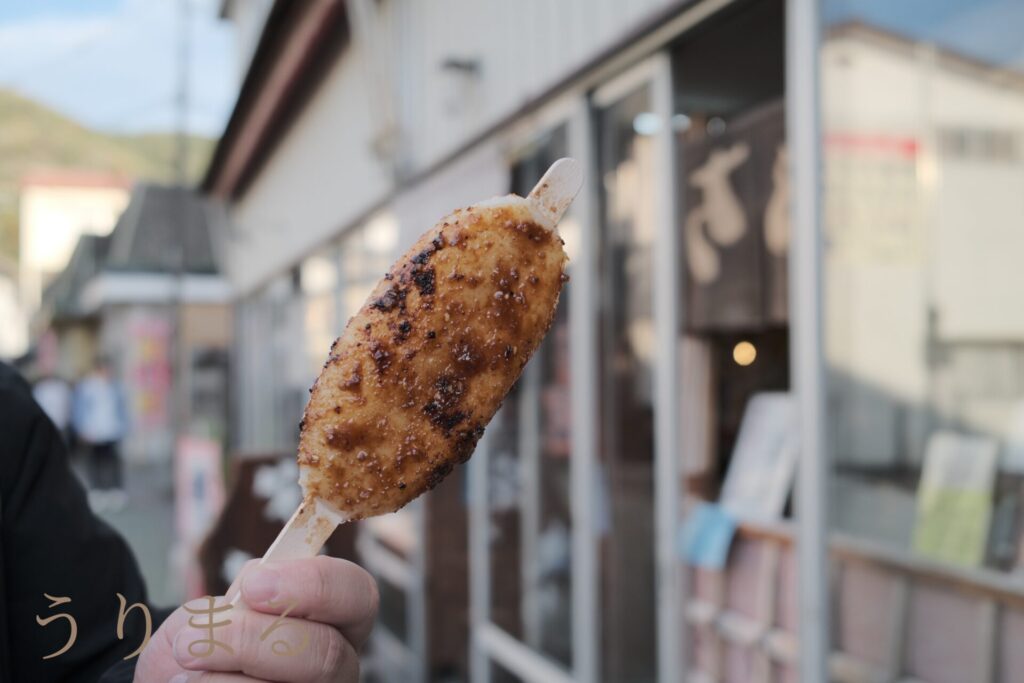 秩父 長瀞 石畳 犬連れ 犬同伴 ペット可 観光地 埼玉 自然 渓谷