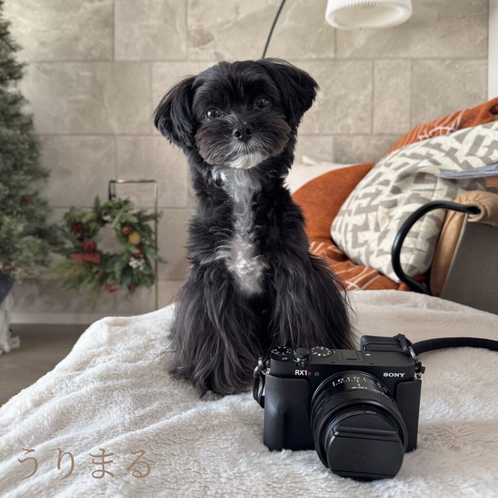 SONY RX1R Ⅲ RⅢ 3 iii ソニー カメラ 周辺機器 アクセサリー