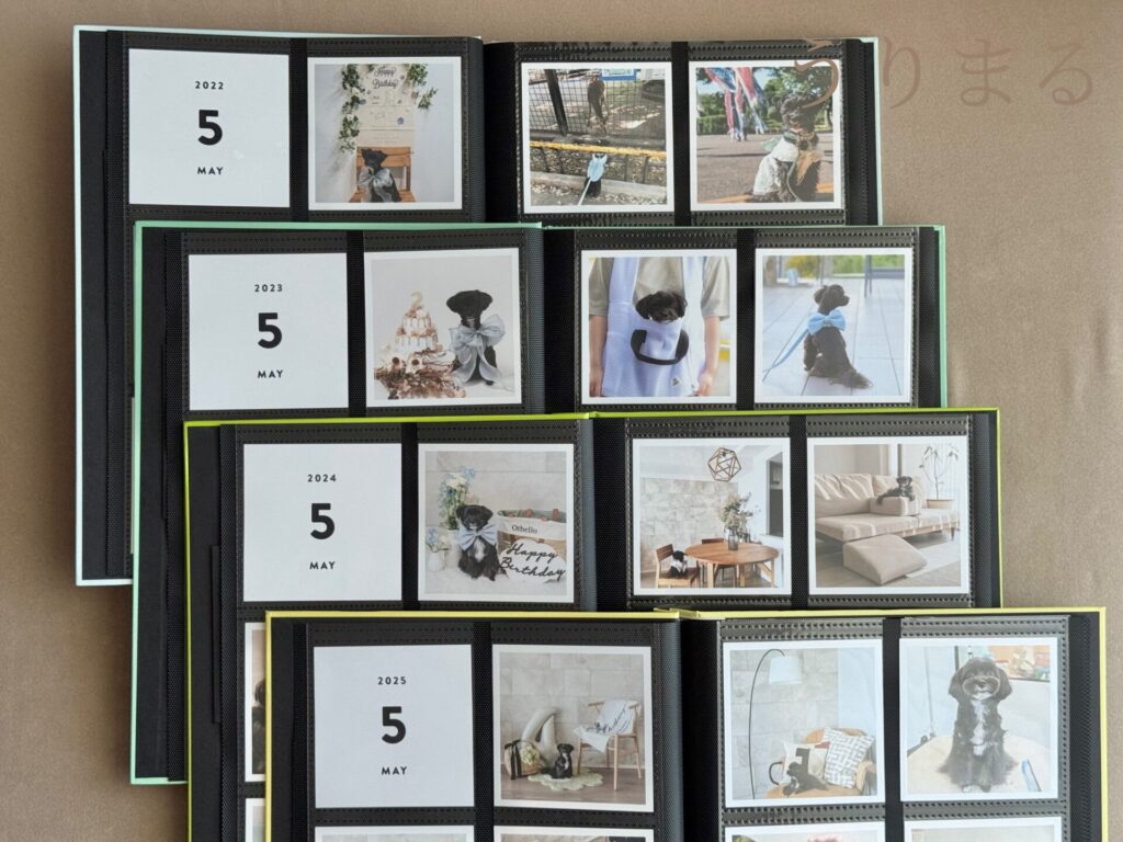 ALBUS アルバス 写真 現像 無料 クーポン