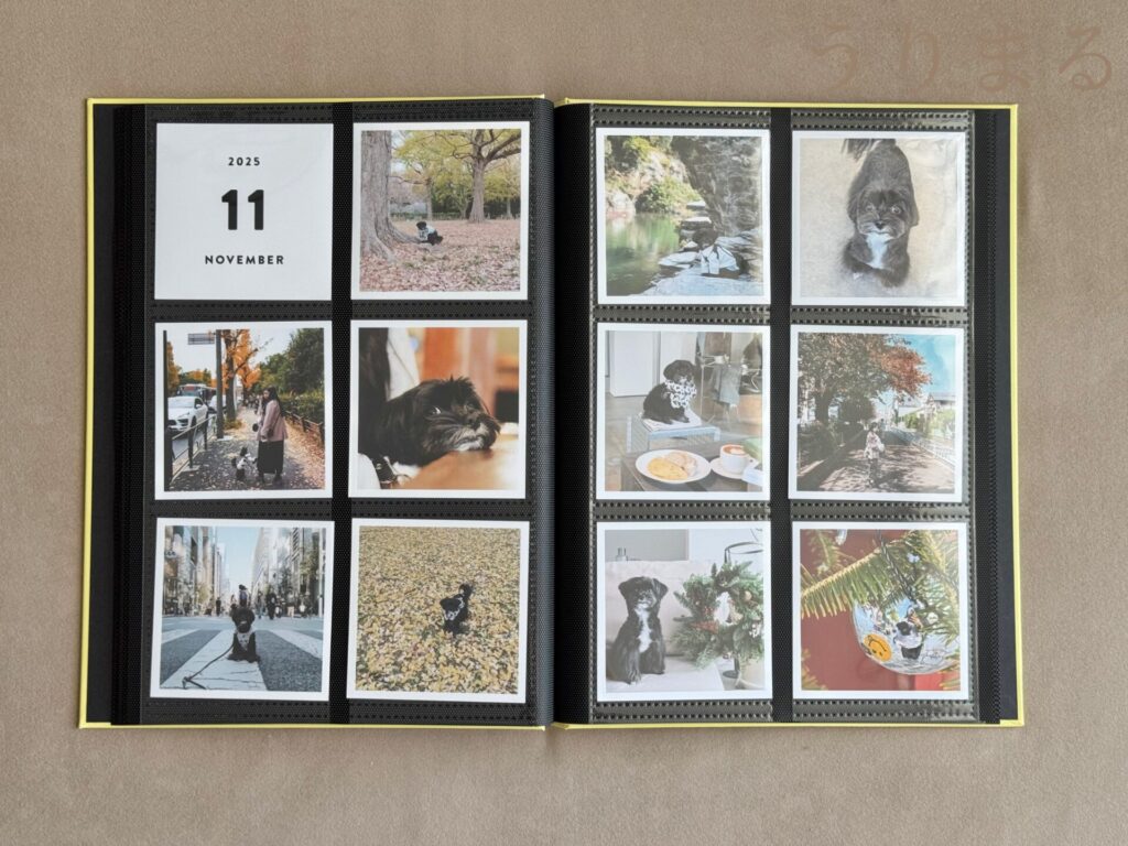 ALBUS アルバス 写真 現像 無料 クーポン