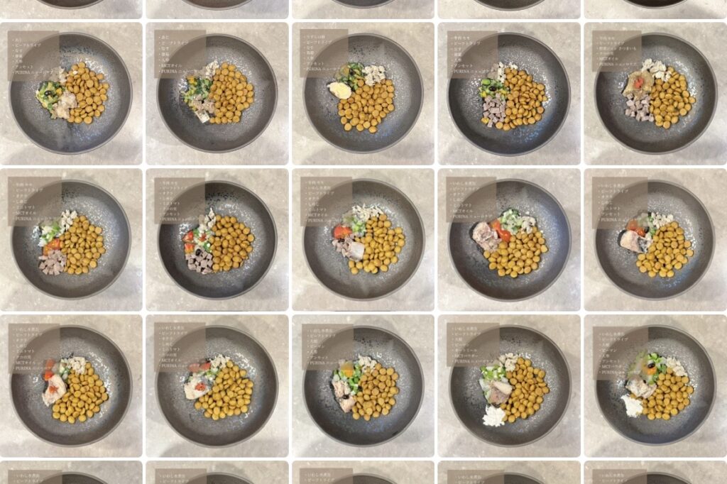 てんかん 発作 犬 食事 療法 療法食 MCT アンセット アンチノール クリルオイル ココナッツオイル 薬膳