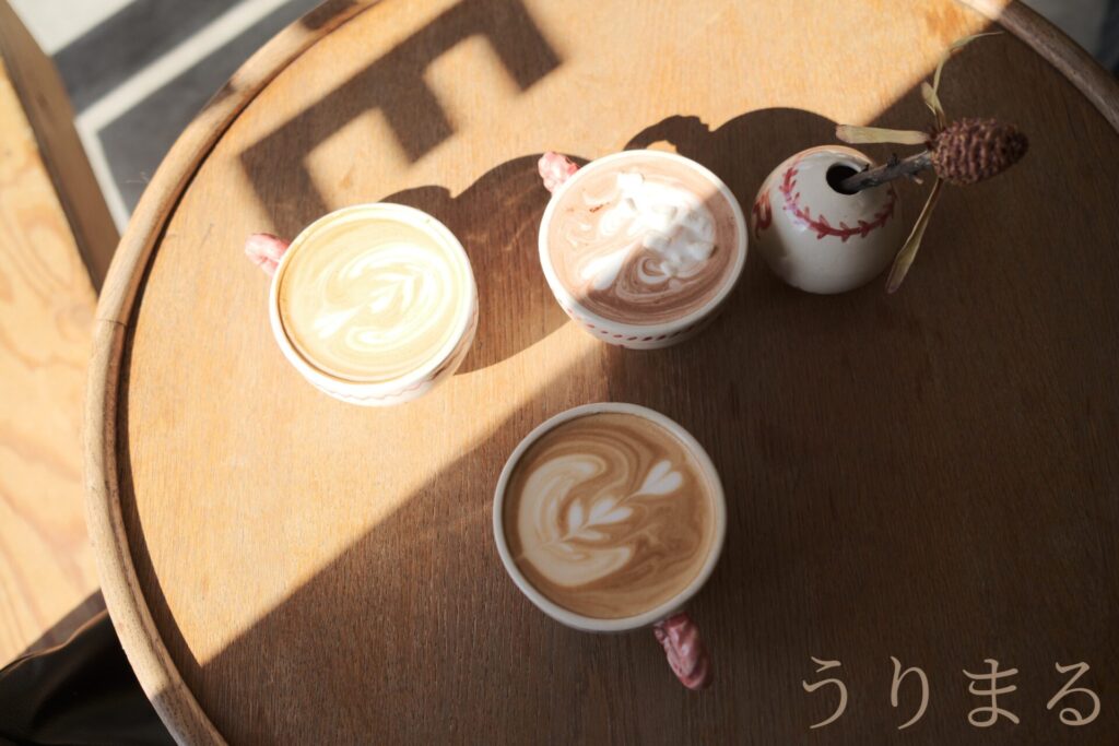 FUJIFILM X100VI カメラ コンデジ コンパクト スナップ 小型 カフェ活