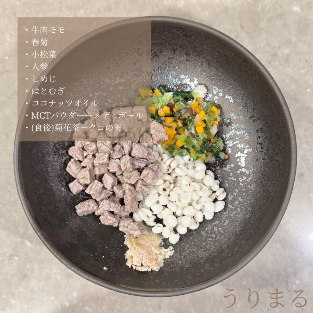 生成AI Gemini LINE スタンプ うちの子 グッズ ハンドメイド 初心者 ChatGPT