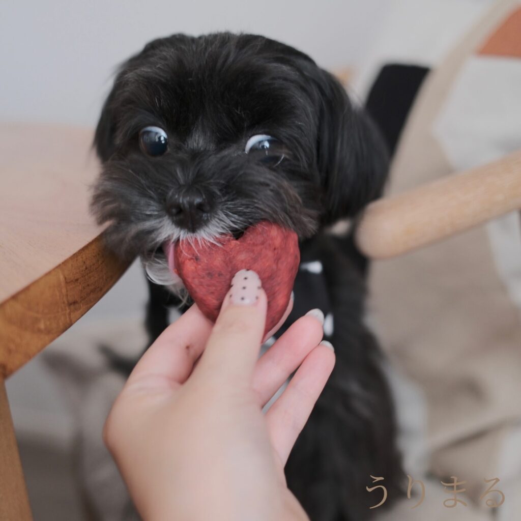 犬 おやつ トリーツ 手作り バレンタイン イベント 記念日 ハート さつまいも ビーツ