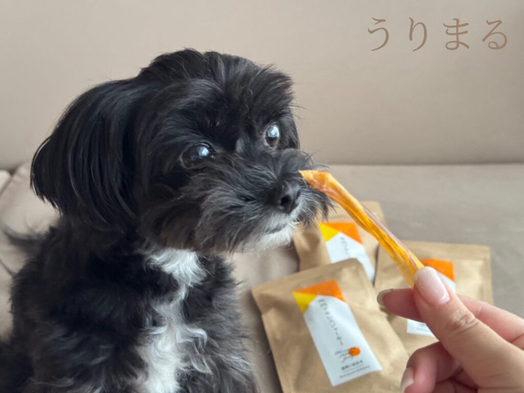 健康いぬ生活 馬 アキレス ジャーキー 歯 歯磨き 歯石 歯垢 ケア ドッグフード トリーツ おやつ