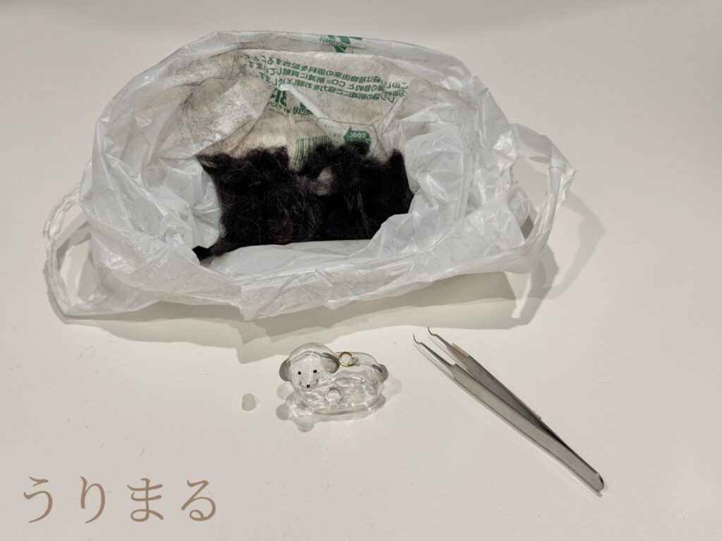 うちの子 けだまだま 毛玉 うちの子グッズ うちの子アイテム メモリアルアイテム ガチャガチャ