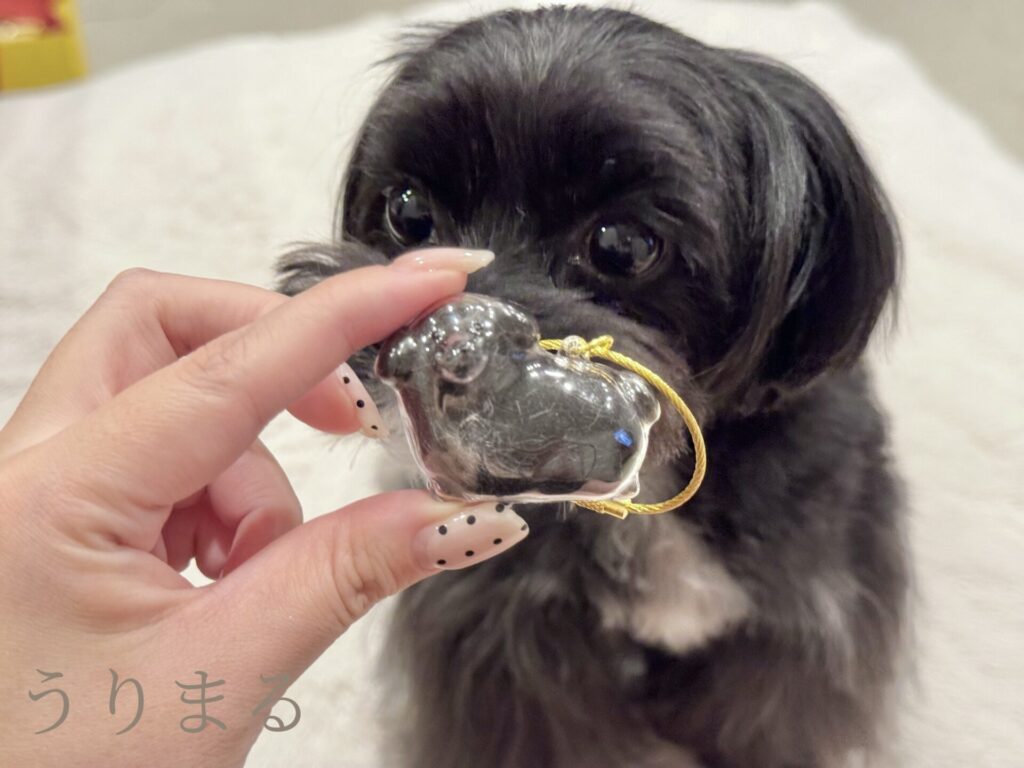 うちの子 けだまだま 毛玉 うちの子グッズ うちの子アイテム メモリアルアイテム ガチャガチャ