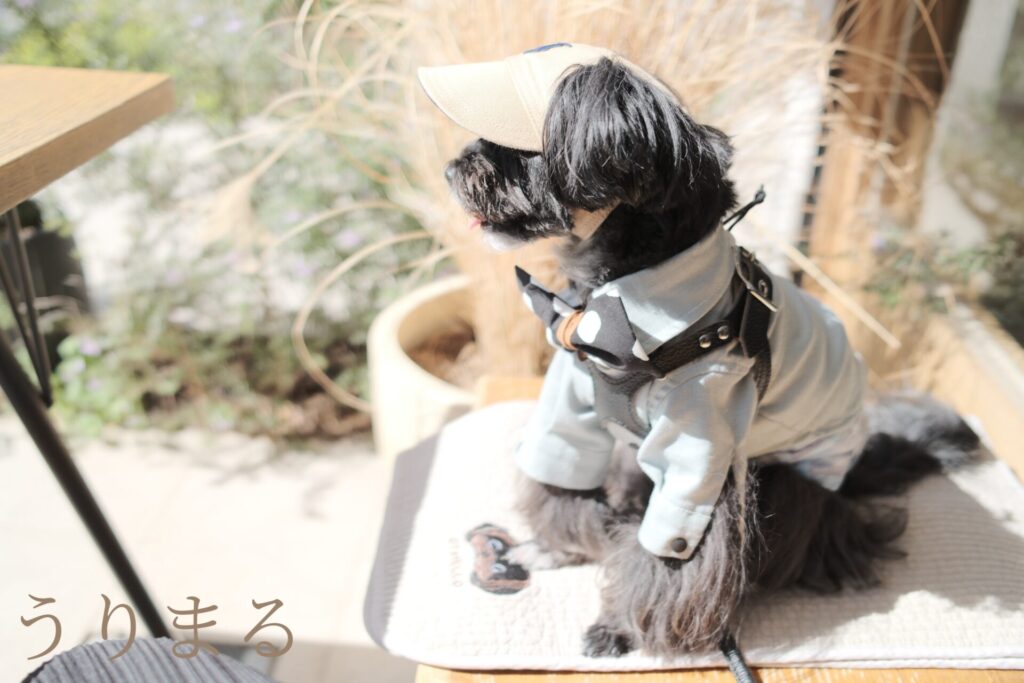 FUJIFILM X100VI 富士フイルム フジフイルム カメラ NDフィルター 白飛び