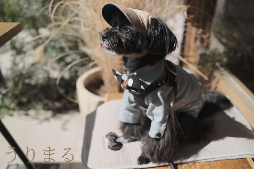 FUJIFILM X100VI 富士フイルム フジフイルム カメラ NDフィルター 白飛び