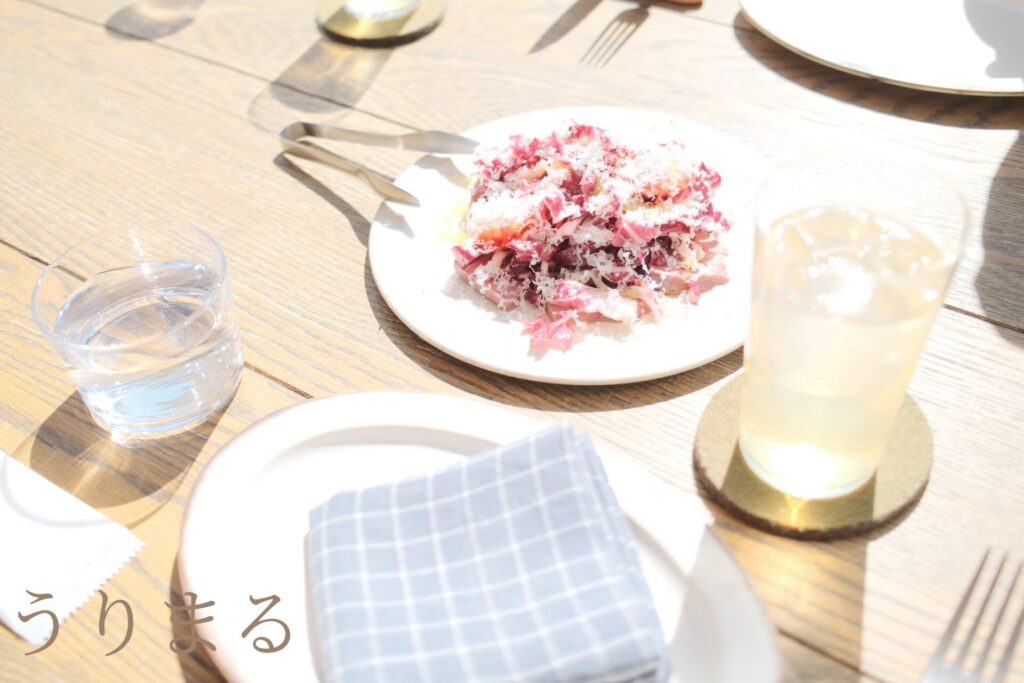 FUJIFILM X100VI 富士フイルム フジフイルム カメラ NDフィルター 白飛び