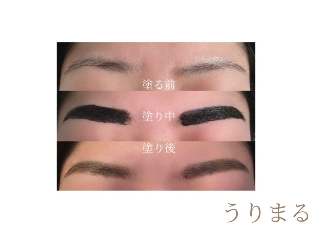 Fujiko フジコ 眉ティント 眉毛 アイブロウ