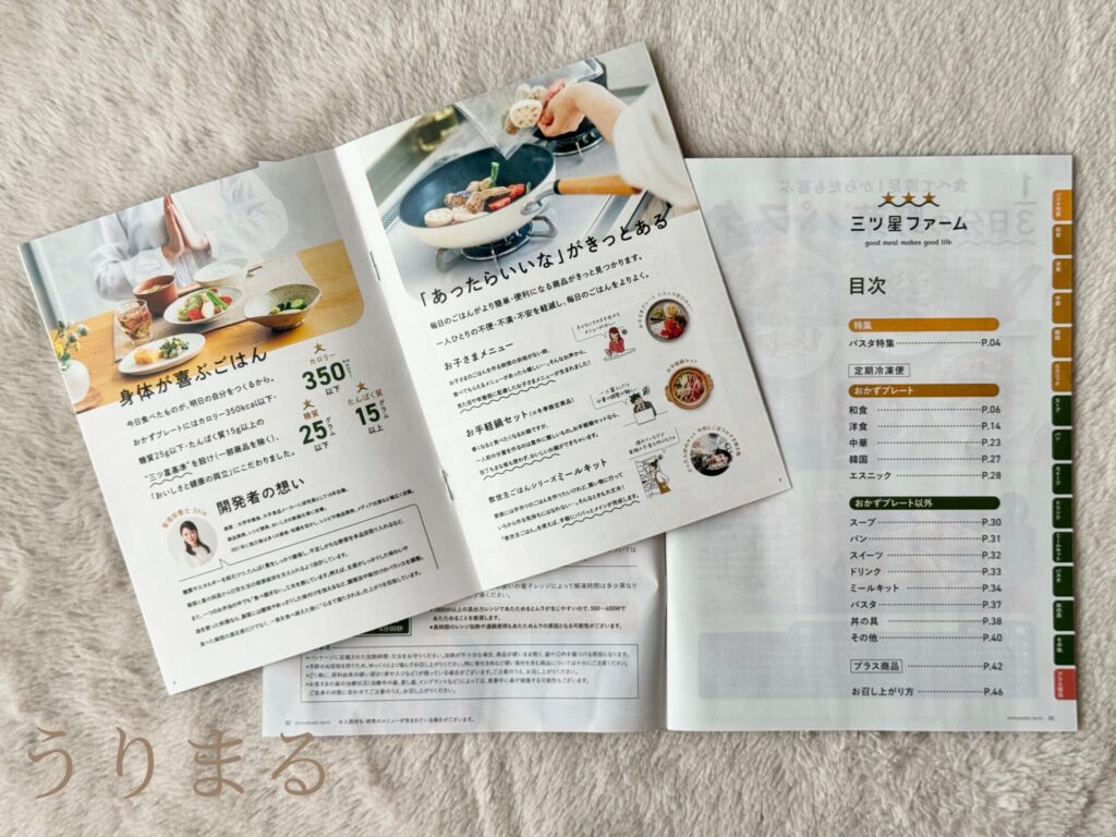 冷凍 宅食 宅配 ごはん ご飯 フード 三ツ星ファーム 弁当 レビュー