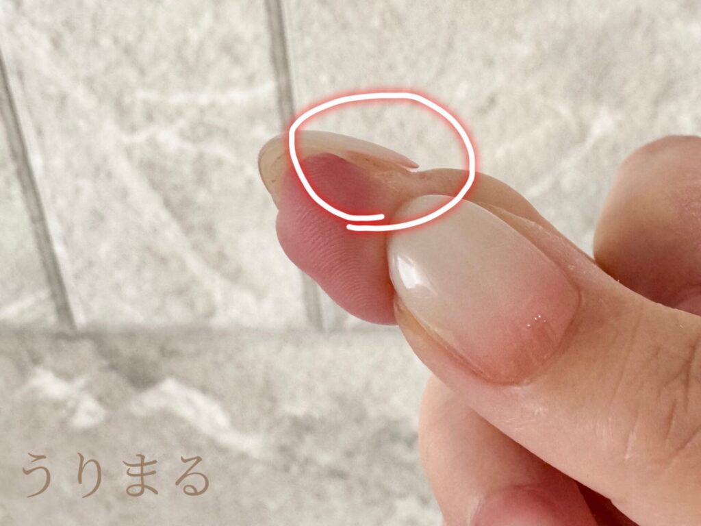 ohora オホーラ ネイルチップ ジェルネイル セルフネイル